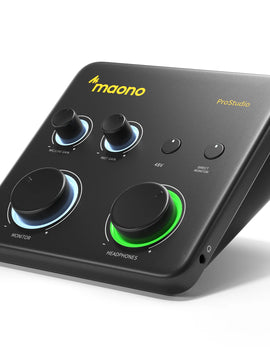 USB Audio Interface for PC,XLR Input 24-bit/192kHz Routing Software LOOPBACK ASIO for Recording Music,Guitar,DAW PS22 Lite