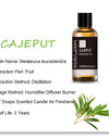 Essential Oils For Humidifier Diffuser Lavender Jasmine Eucalyptus Ylang Ylang Vanilla Tea Tree Aroma Oil