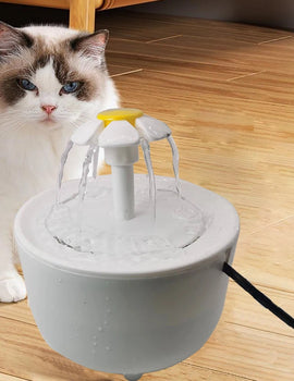 Cat Water Fountain Auto Filter Transparent Cat Drinker USB Electric Mute Recirculate Filtering Drinker for Cats Water Dispenser