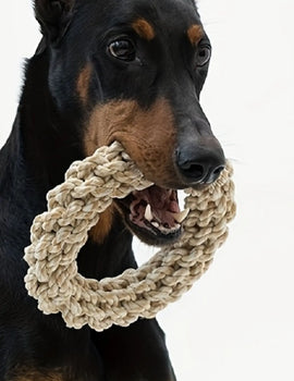 Pet Dog Rope Toy Durable Chew Bite Resistant Pet Toys for Medium Large Dogs Golden Retriever Pitbull Labrador Supplies
