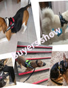 Personalized Dog Harness Reflective Adjustable Dog Harness Tank Top Dog Training Supplies