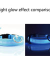 LED Glowing Dog Collars Rechargeable Waterproof Luminous Collar Adjustable Dog Night Light Collar Pet Dog Safety Necklace