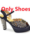 Style Matching Bag and Shoes Set Italian Women Design Shoes Matching Bag Decorated with Rhinestone Luxury Pumps Women