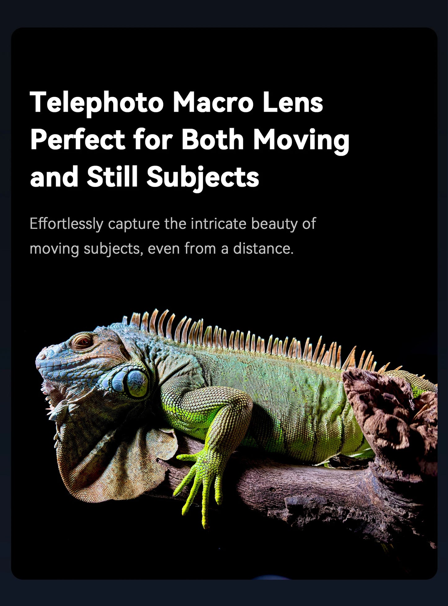 6X Telephoto Macro Smartphone Lens with Universal Phone Mount