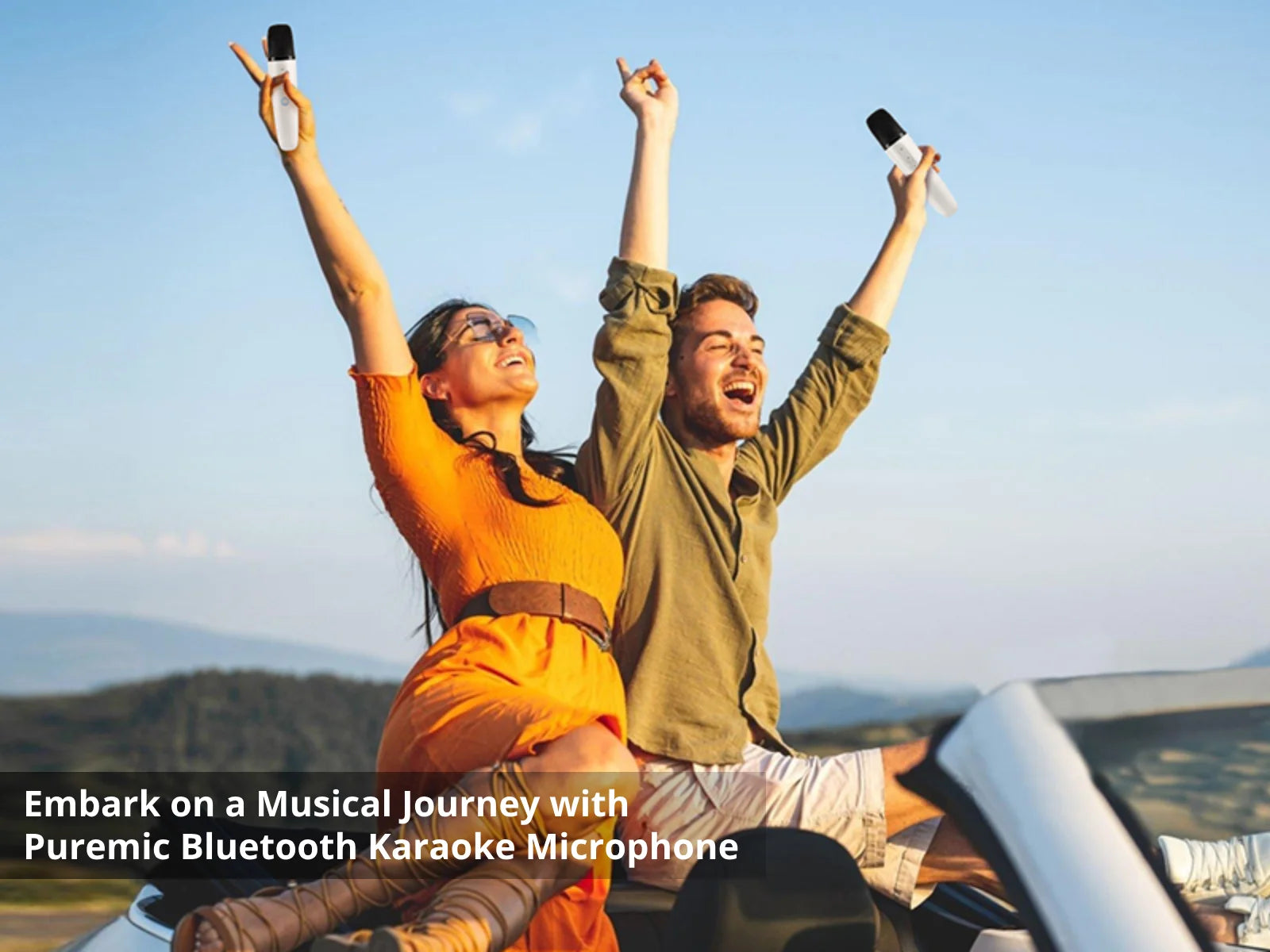 Tesla Microphone with Case, Rechargeable Bluetooth Microphone Wireless with 3.5mm Aux Jack Receiver, Car Karaoke Mic with Bag