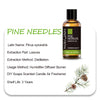 Pine Neddles Oil