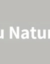 Outdoor Chair Camping Folding Portable Backrest Chair Camping Leisure Faux Wood Armrest Fishing Garden Chair