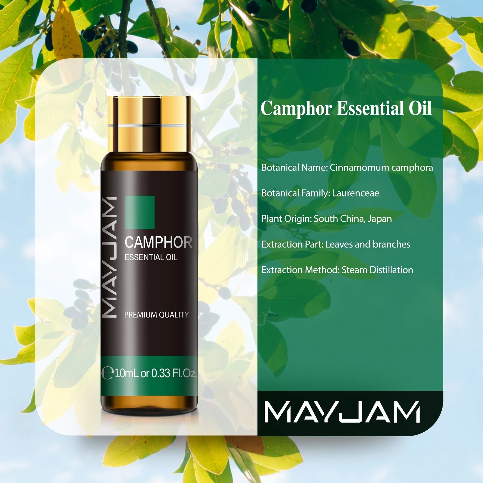 10ML Basil Camphor Pure Essential Oil Body Massage Pepper Fennel Cajeput Sage Ginger Myrrh Pine Needles Thyme Vetiver Aroma Oil