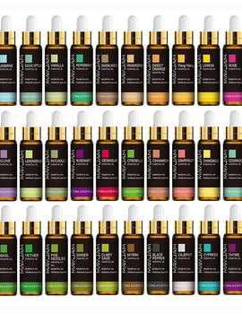 10ML Aromatic Diffuser Essential Oil Lavender Vanilla Myrrh Fragrance Oil For Soaps Candle Making Massage Humidifiers