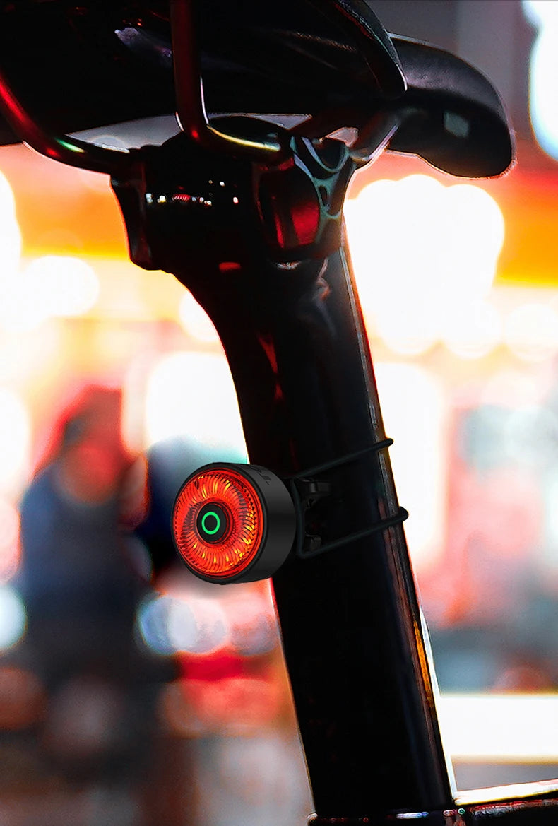 Team Sync Tail Light 50m Auto Brake Sensing Bicycle Rear Light LED Rechargeable IPX6 Waterproof Cycling Taillight