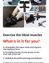 Detachable Cast Iron Leg Lift Ankle Muscle Trainer For Tibialis Anterior Leg Workout Weighted Fitness Equipment New Design