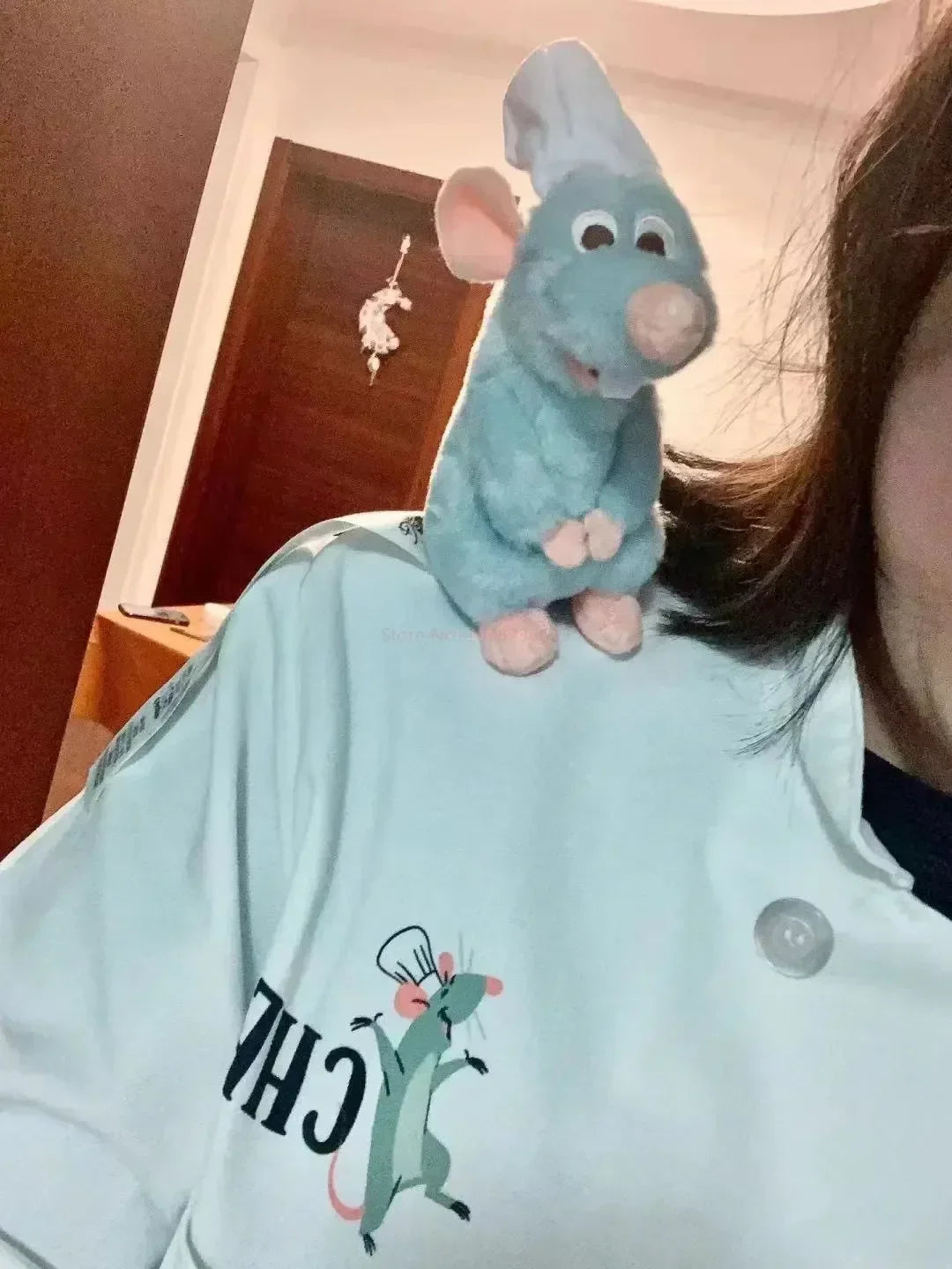 16cm Store Ratatouille Chef Remy Magnetic Shoulder Plush Toy Gifts Kawaii Plush Stuff Toys For Friends Birthday Gift