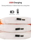 Led Dog Collar Luminous Usb Cat Dog Collar 3 Modes Led Light Glowing Loss Prevention LED Collar For Dogs Pet Dog Accessories