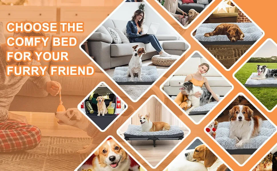 Fluffy Plush Pet Bed Sofa for Dogs and Cats