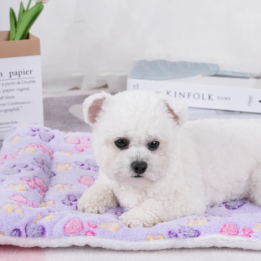 Washable Coral Fleece Pet Blanket Cushion Mat for Dogs and Cats