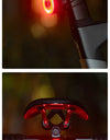 ROAD TO SKY Bicycle Taillight Smart Brake Vibrate Sensing Bike Rear Light Waterproof Type-C MTB Road Cycling Tail Light