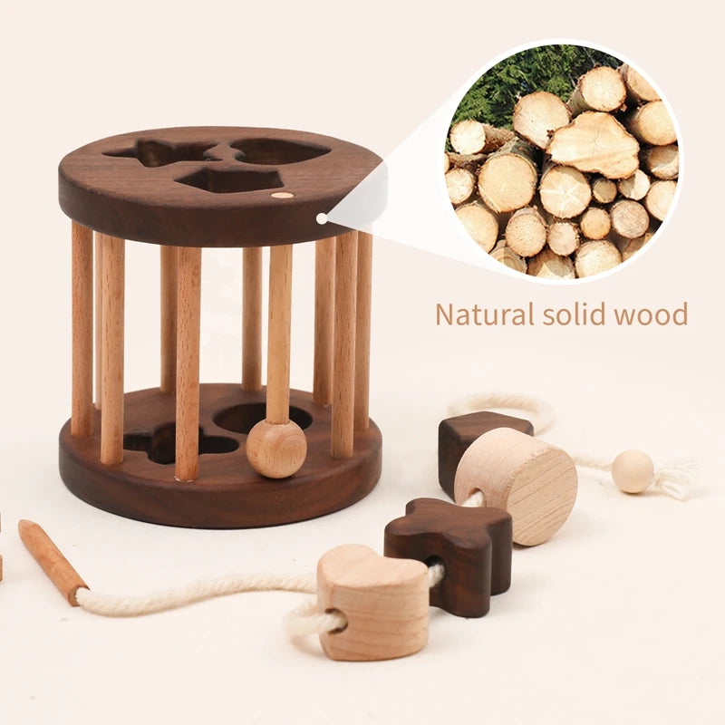 Wooden Montessori Toys for Kids Cognitive  Geometric Shape Puzzles Toys Shape Matching Toys Educational Color Toys for Children