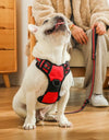 Pet Dog Harness Reflective Adjustable Breathable Dog Vest Harness for Small Medium Large Dogs Cat Dog Collar Dog Accessoires