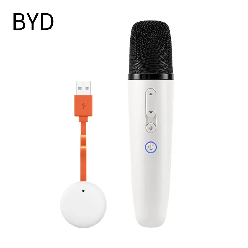BYD & DENZA Official factory Car Microphone With Receiver, Karaoke Microphone for BYD all Models + Denza J5 J7, Original sale.