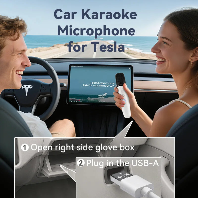Tesla Karaoke Mic with Portable Bag, Wireless Mic with 8 Joy Effects, Rechargeable Mic with Type-C & Aux in Receiver