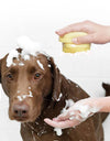 hot Bathroom Puppy Big Dog Cat Bath Massage Gloves Brush Soft Safety Silicone Pet Accessories for Dogs Cats Tools  Products