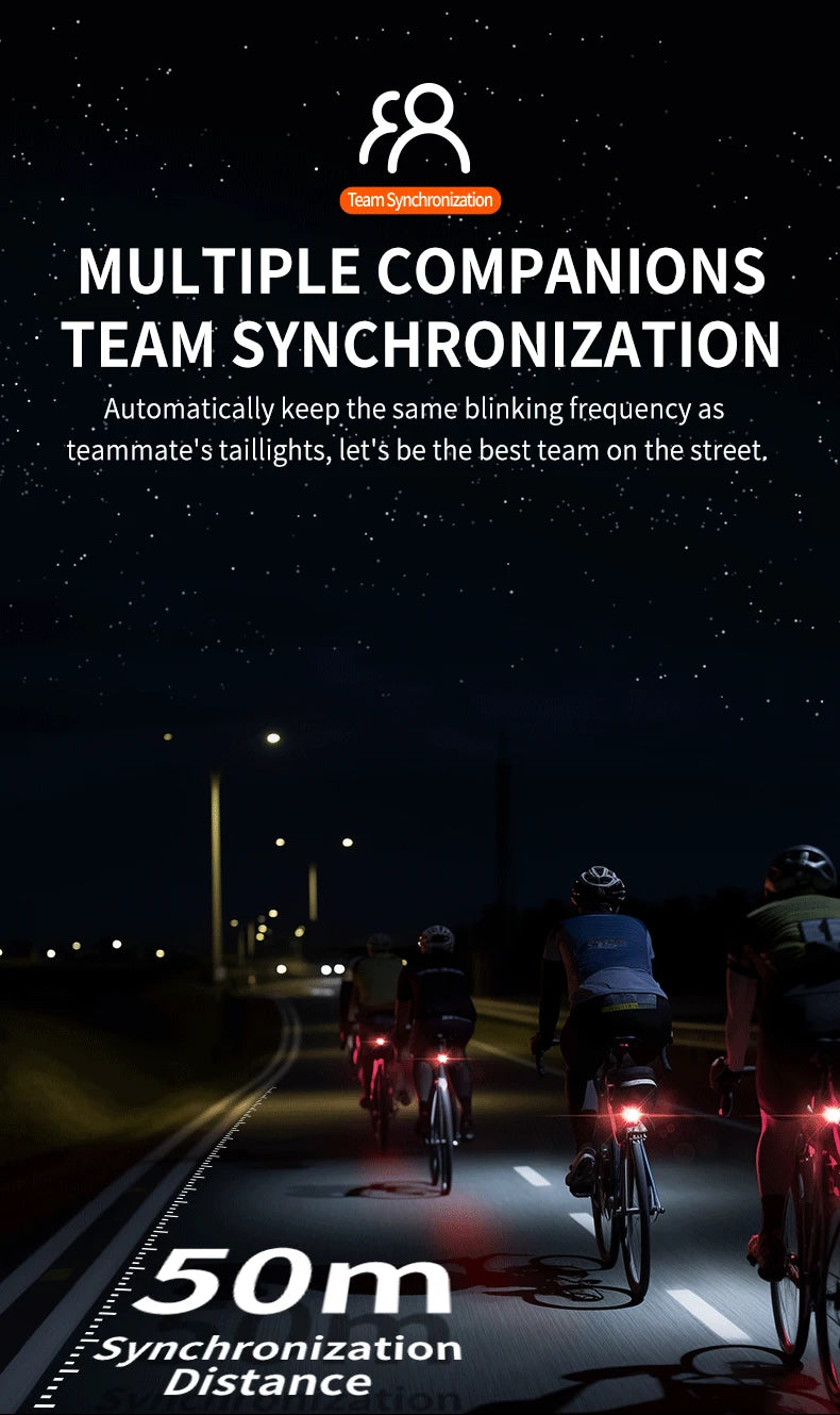 Team Sync Tail Light 50m Auto Brake Sensing Bicycle Rear Light LED Rechargeable IPX6 Waterproof Cycling Taillight