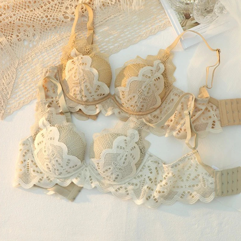 Womens Lace Minimizer Underwire Bra and Brief Set