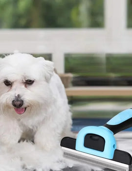 Pet Massage Comb Hair Anti Knotting Stainless Steel Blade Detachable Dog Cat Hair Comb Brush Grooming Tools Pet Combs Pet Supply