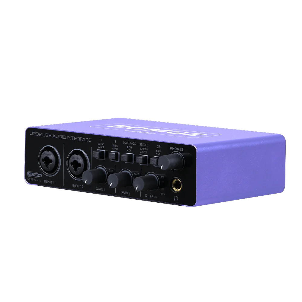 U202P USB Audio Interface with 32 Bit 192kHz Recording and 48V Phantom Power