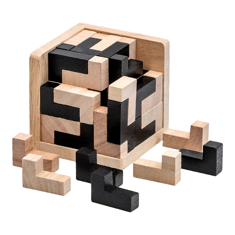 Wooden Brain Teaser Puzzle Game