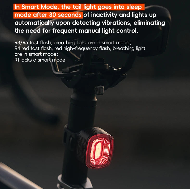 Smart Brake Sensing Bike Taillight IPX6 Waterproof Type-C Synchronized Bicycle Rear Light MTB Road Cycling Tail Light