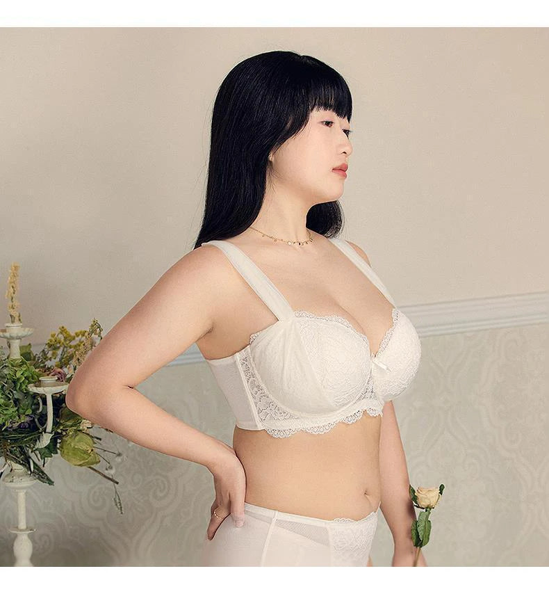 Womens French Lace Underwire Push Up Minimizer Bra